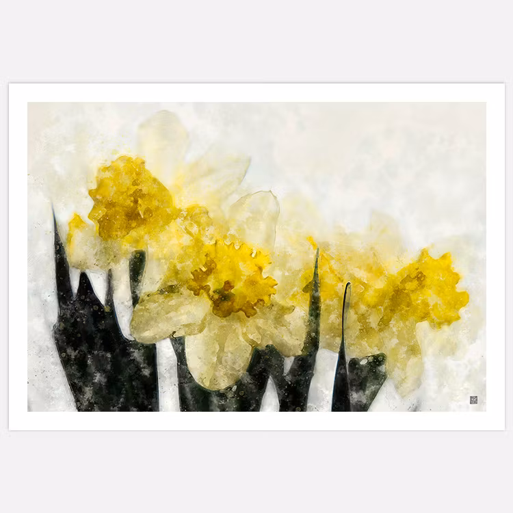 Art Print målade påskliljor av Insplendor Art Studio i Sverige.