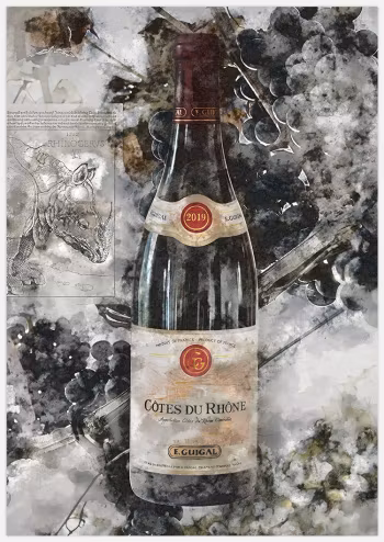 Wine Artwork Art Print