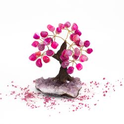 Rosa Agat träd, Små