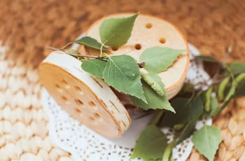 Tvålfatet Natur från äkta björk - Eco