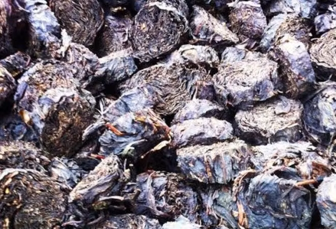 Elit Rallarrosté Snigeln (Exklusivt té liksom Pu'er)