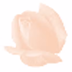 Färgcrème för mycket känslig fet hud