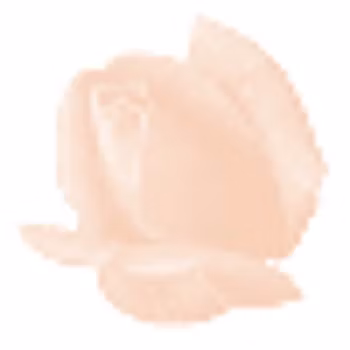 Färgcrème för mycket känslig fet hud