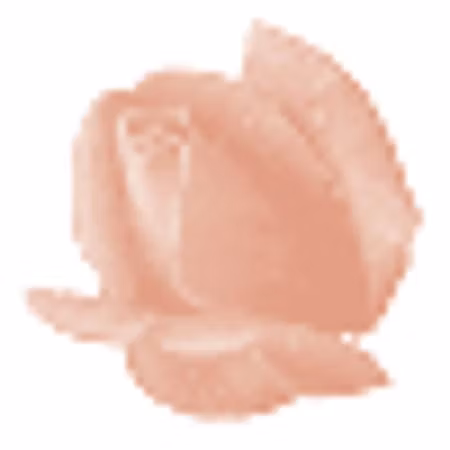 Färgcrème för mycket känslig fet hud