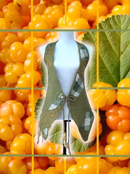 Tovad Väst Hjortronlandet