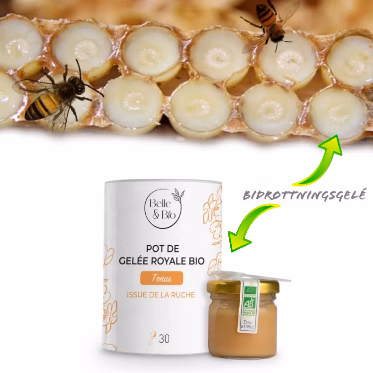 Rent Färskt Royal Jelly Bidrottningsgelé/Bidrottninggelé 30 g