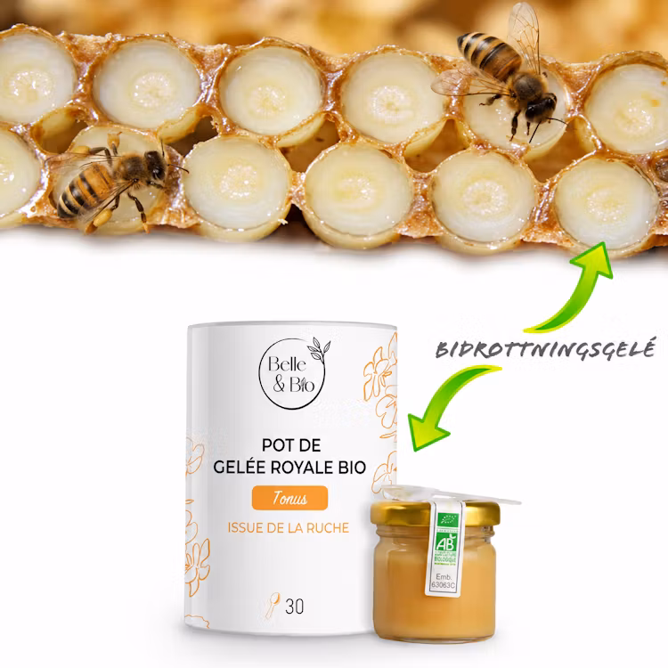 Rent Färskt Royal Jelly Bidrottningsgelé/Bidrottninggelé 30 g