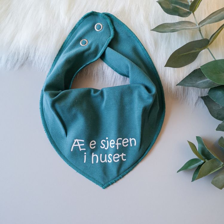 Æ e sjefen i huset - Smekke