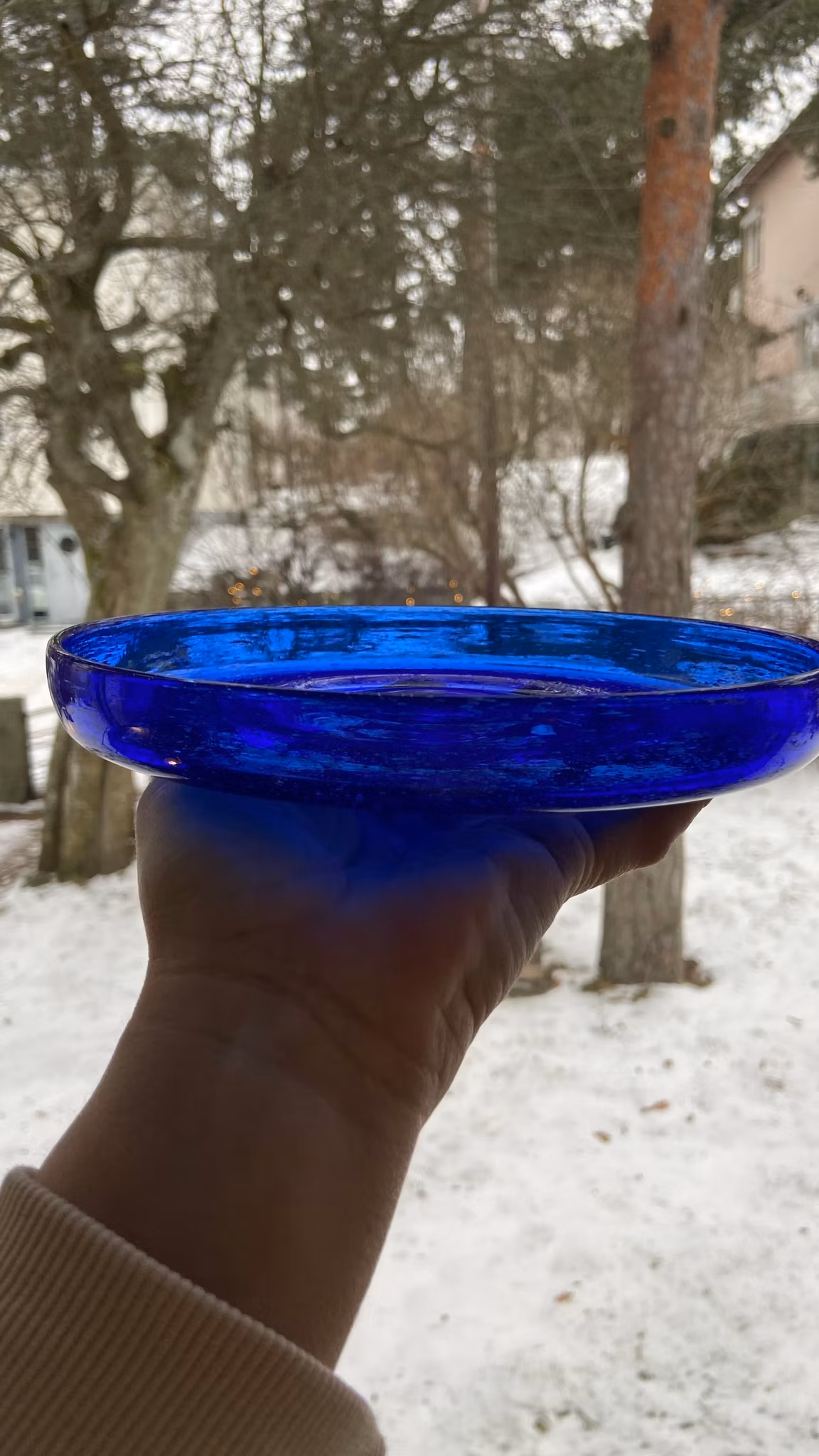 Glastallrikar Gunnar Höglund diameter 19 cm