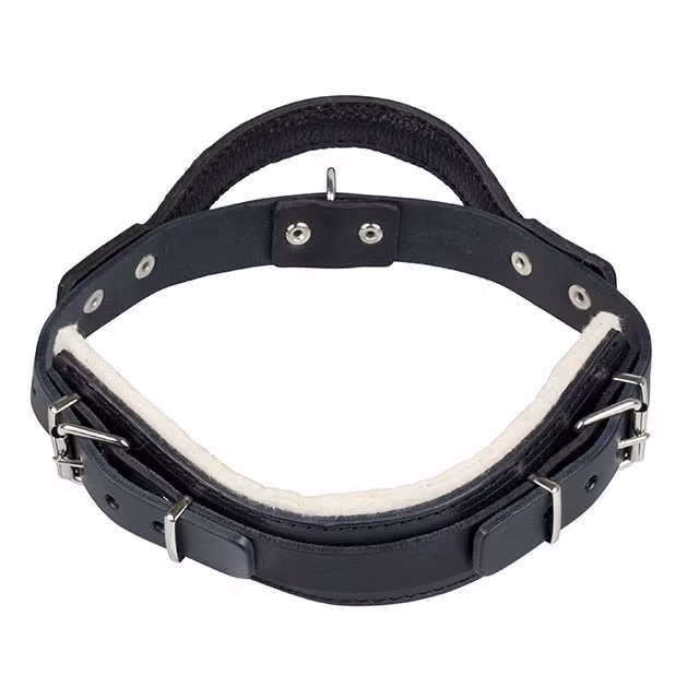 Gappay, halsband, läder m. handtag, L