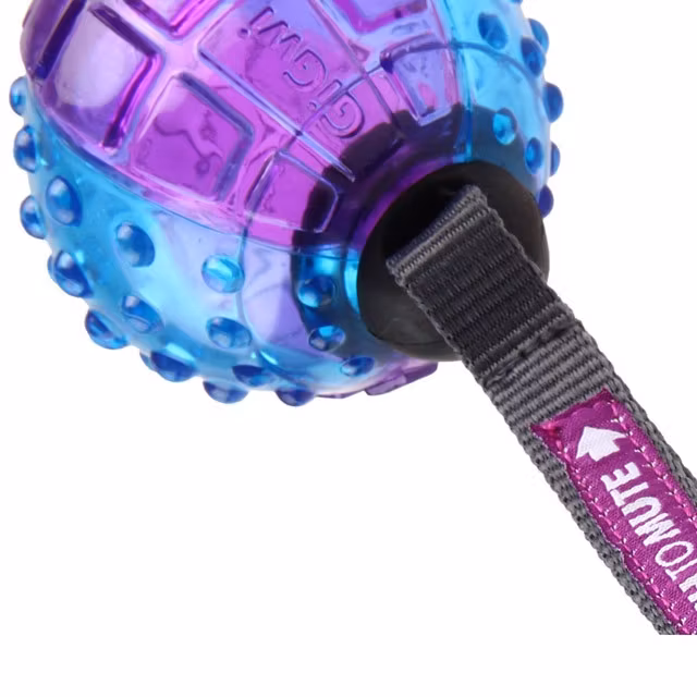 GiGwi, push to Mute boll