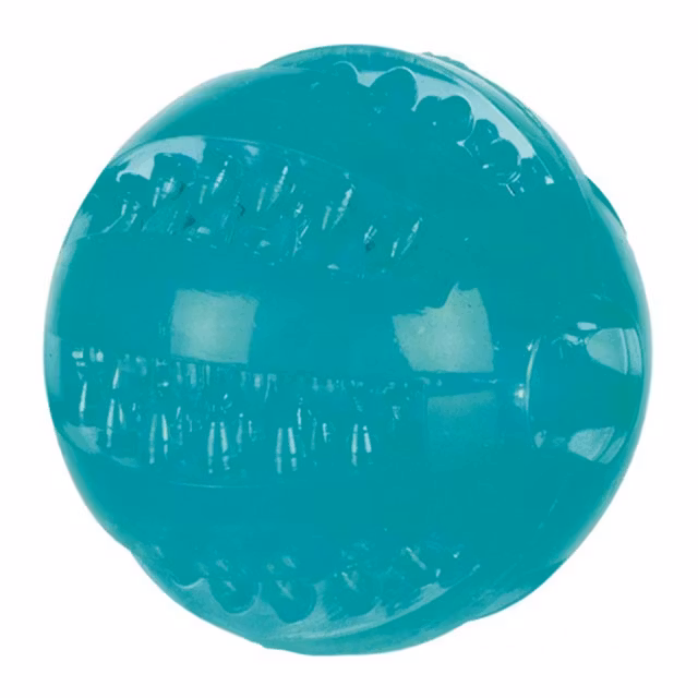 Trixie, DentaFun, boll m. mintsmak, turkos, 6cm