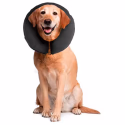 ZenPet, uppblåsar halskrage, XL