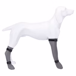 Trixie, skyddssock, silikon, grå