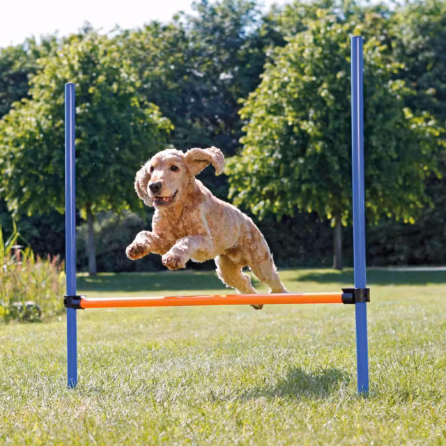 Trixie, Agility hopphinder, plast, 123 x 115 cm