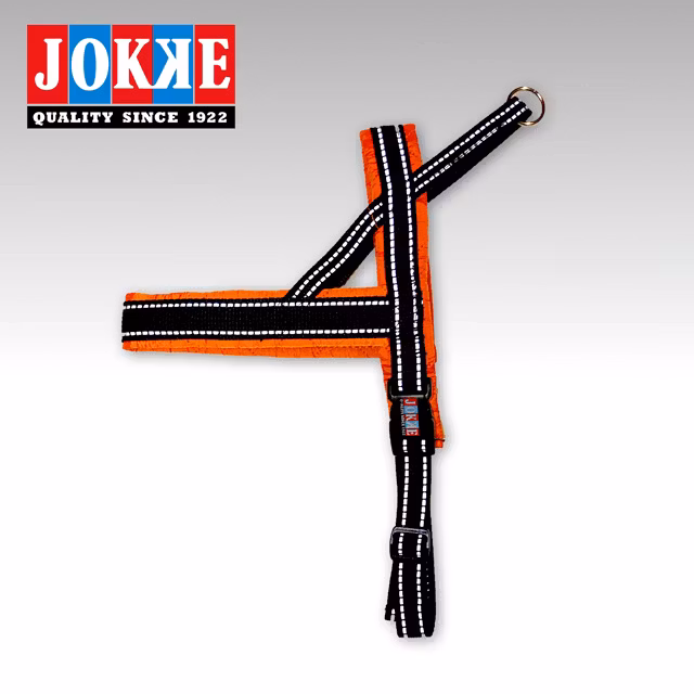 Jokke, sele saana, orange