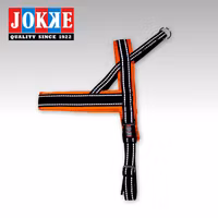 Jokke, sele saana, orange