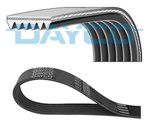 Flerspårsrem, DAYCO - 6PK1545-0Q
