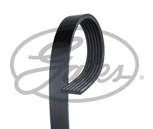 Flerspårsrem, GATES - 8653-10572-GA, Ford, Volvo, Mazda