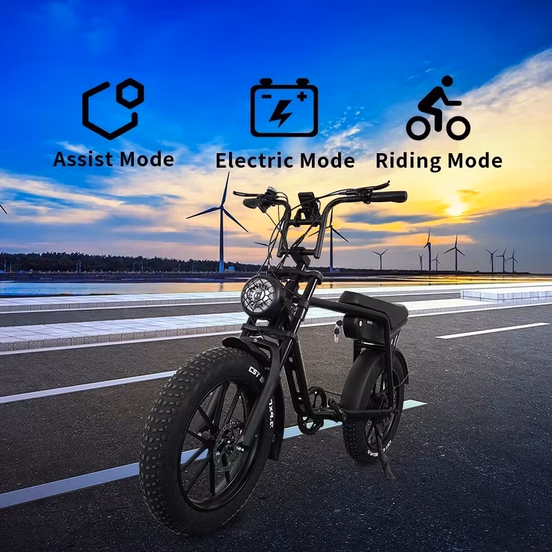 Elcykel fet däck Bike Dagebos E3