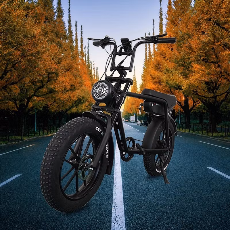 Elcykel fet däck Bike Dagebos E3