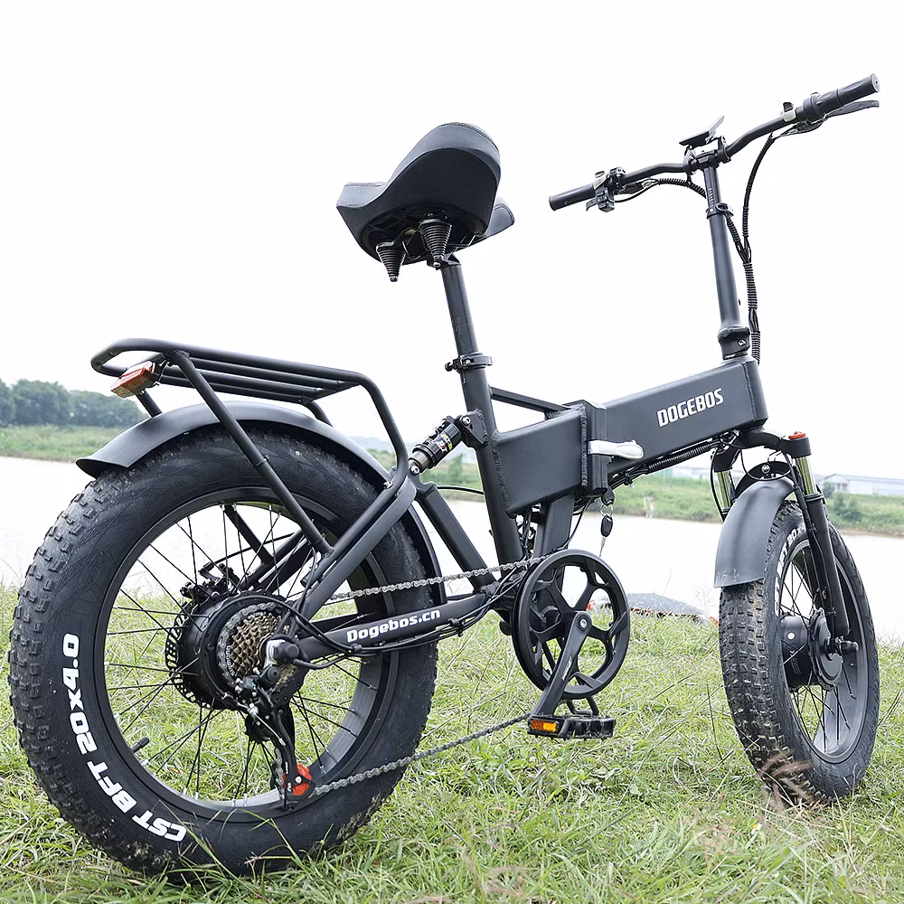 Dagenos XP1000w Elcykel med Dubbla Motorer