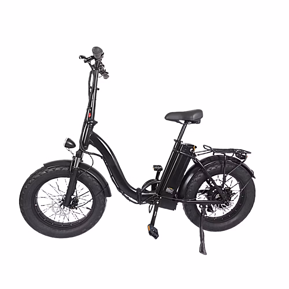 Dagebos F20 Elcykel för Damer