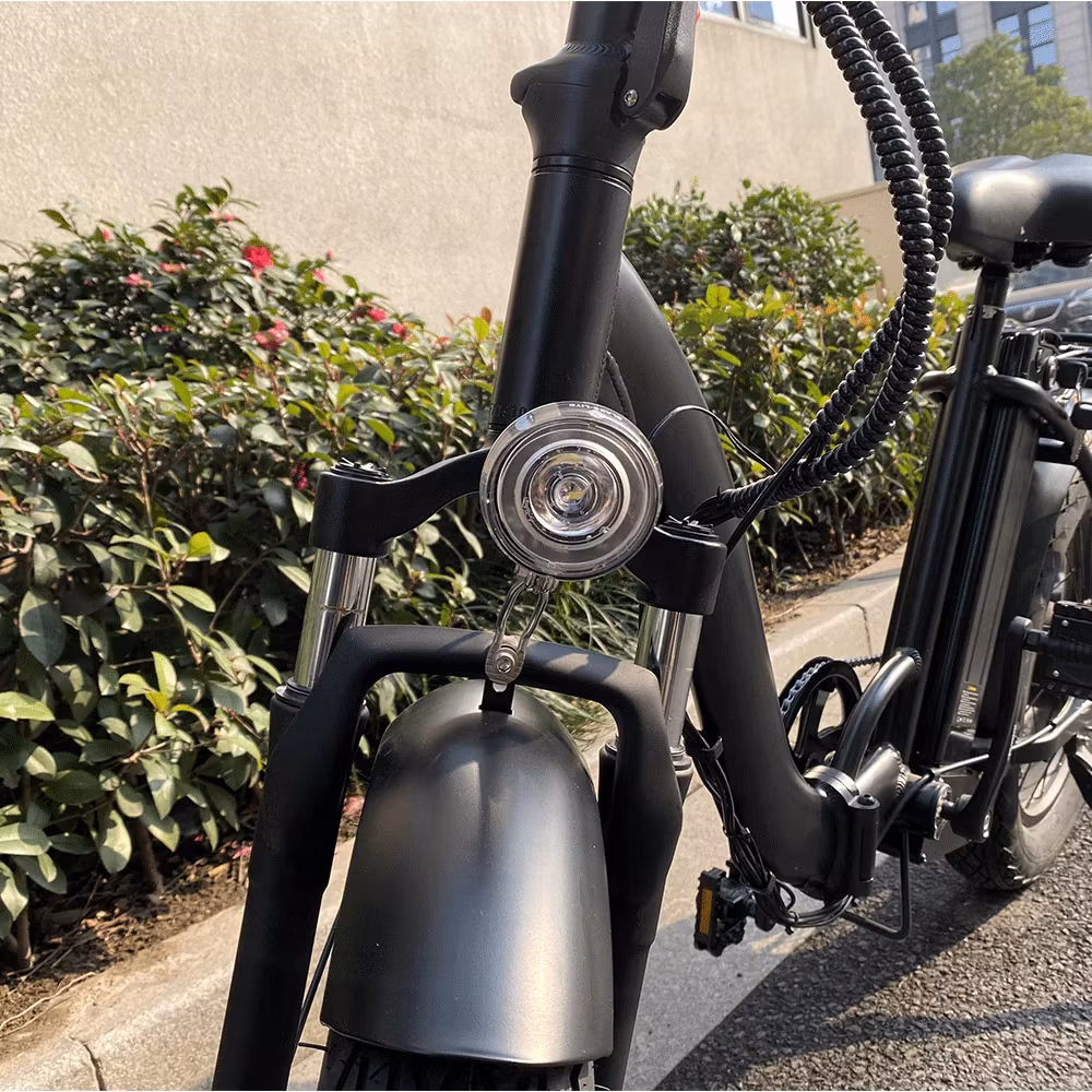 Dagebos F20 Elcykel för Damer