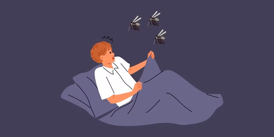 Så blir du av med mygg inomhus