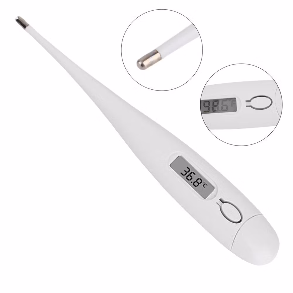 Febertermometer med tydlig display
