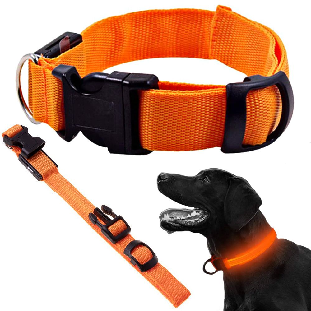 LED Hundhalsband