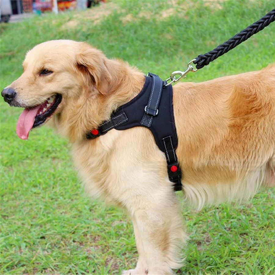 Hundsele Comfort Svart
