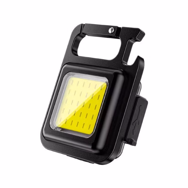 Lampa med karbinhake