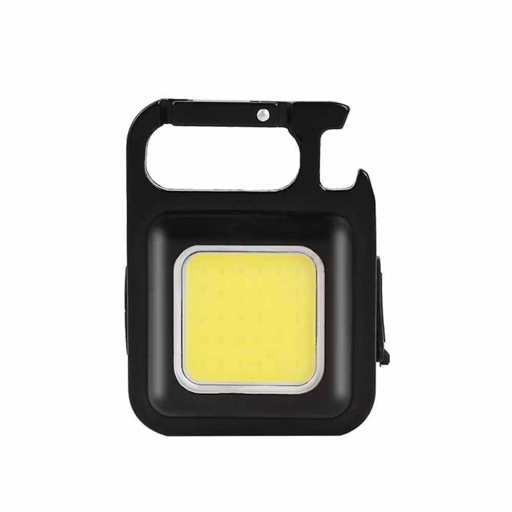 Lampa med karbinhake