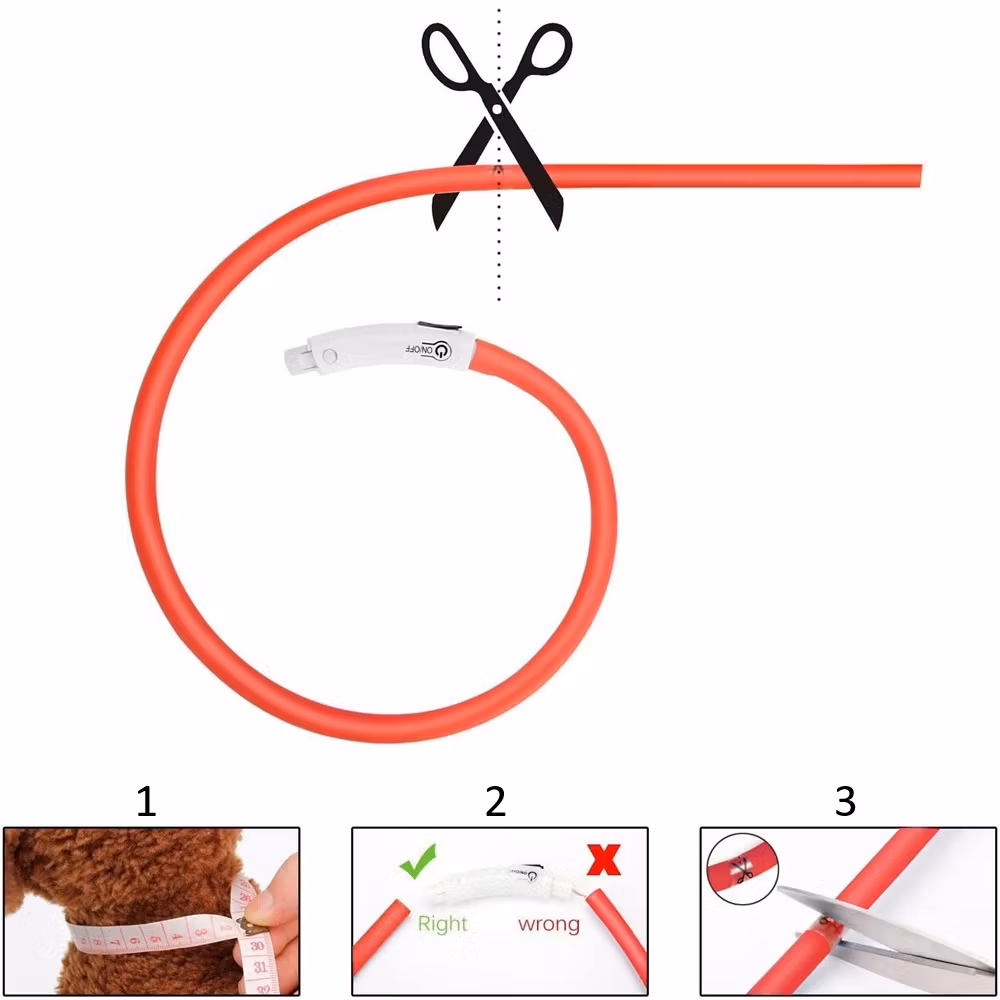 LED Hundhalsband USB