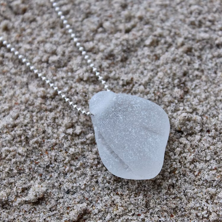 Some Kind Of Seashell halsband