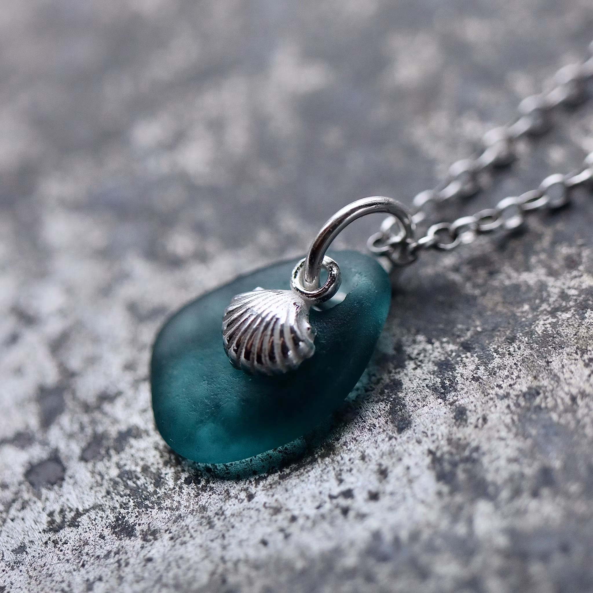 Treasured Seashell berlockhalsband