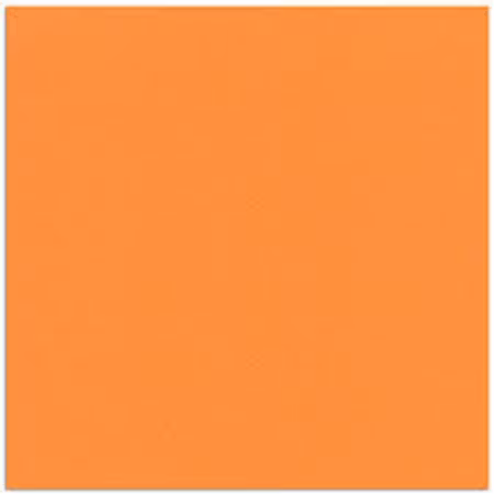 Cardstock - 12x12 - tegel 935 25-p