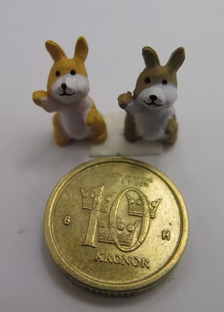 **Miniatyr** Kanin par