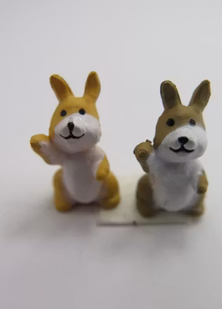 **Miniatyr** Kanin par