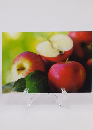 **Vykort större** Fotografi