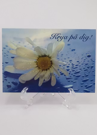 **Vykort större** Med text