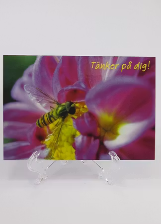 **Vykort större** Med text