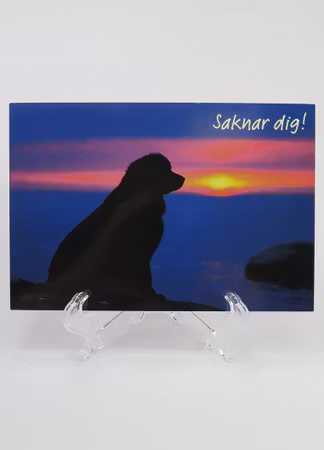 **Vykort större** Med text