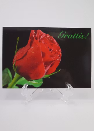 **Vykort större** Grattis kort