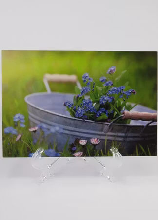 **Vykort större** Fotografi