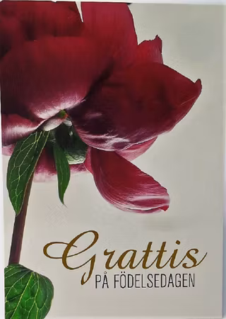 **Vykort** Grattis kort