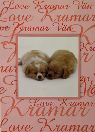 **Vykort** Romantik