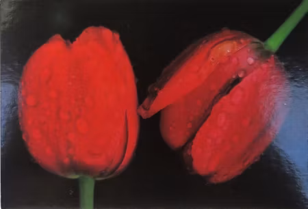 **Vykort större** Blommor