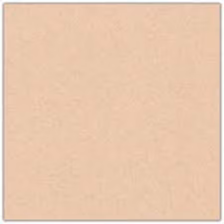 Cardstock - 12x12 - varmbeige 964
